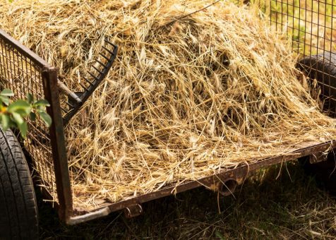 Cortadoras de ensilado