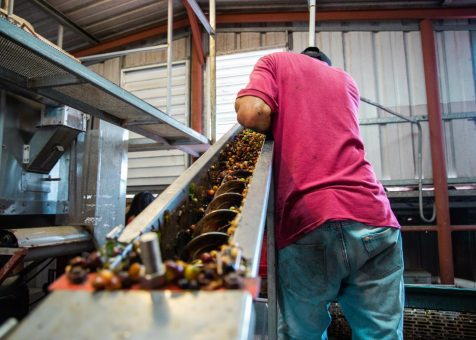 Alimentadores automáticos